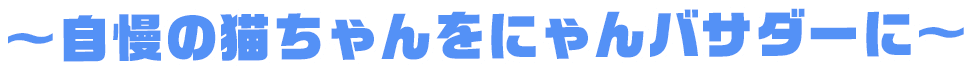 ～自慢の猫ちゃんをにゃんバサダーに～